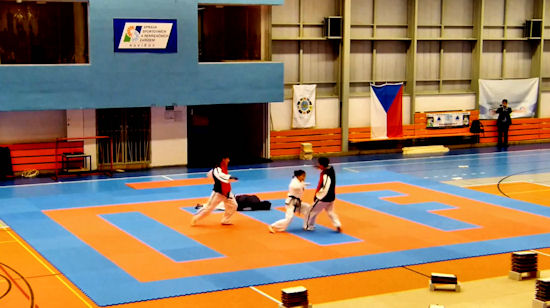 Taekwondo w wykonaniu zawodników z Korei Północnej