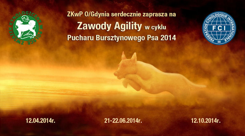 Zawody Agility w cyklu Pucharu Bursztynowego Psa 2014