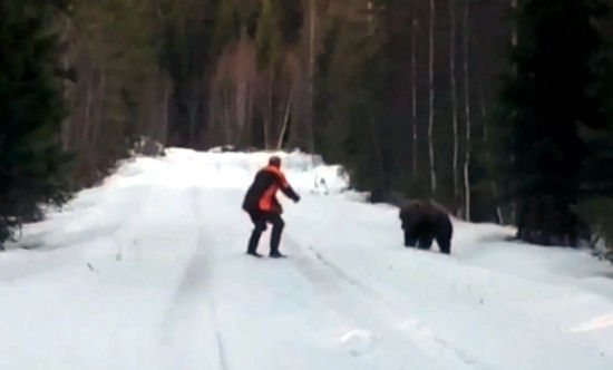 Niedźwiedź atakuje człowieka [wideo]